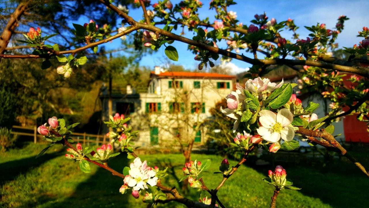 B&B Tre Ponti Castiglione Chiavarese Eksteriør billede